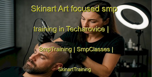 Skinart Art-focused smp training in Techarovice | SmpTraining | SmpClasses | SkinartTraining-Czech Republic